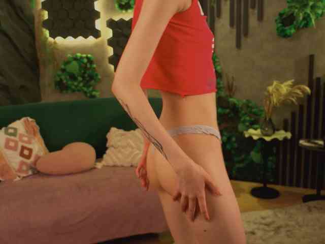 shishka-angel webcam