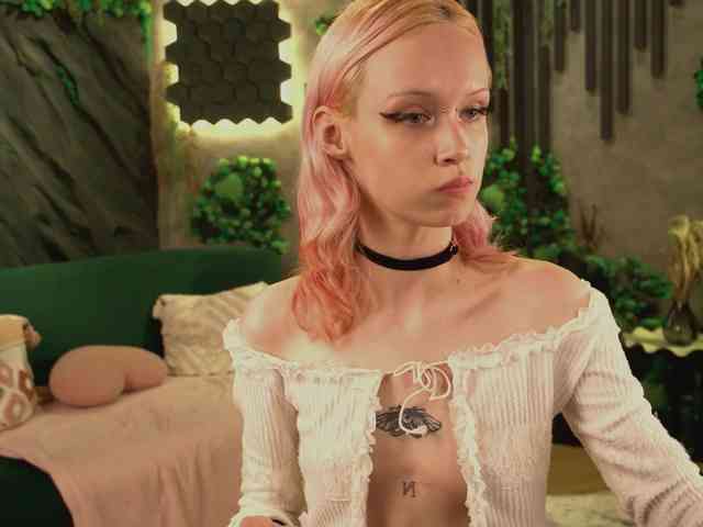shishka-angel webcam