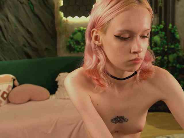 Модель: shishka-angel