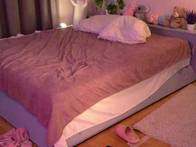 shishka-angel webcam