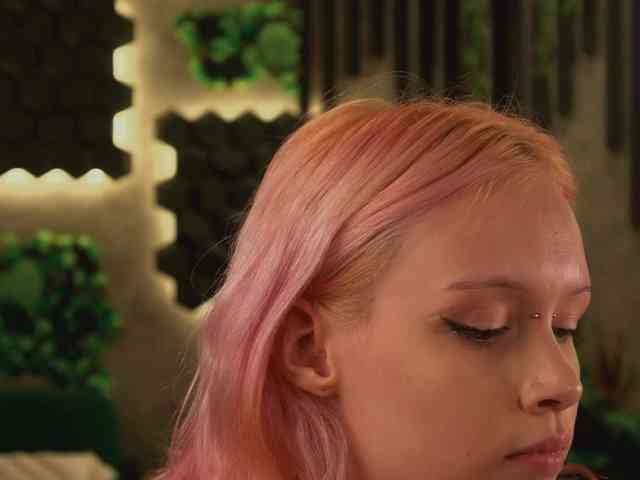Модель: shishka-angel