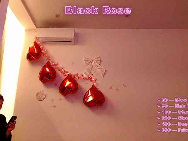 Bluerose webcam