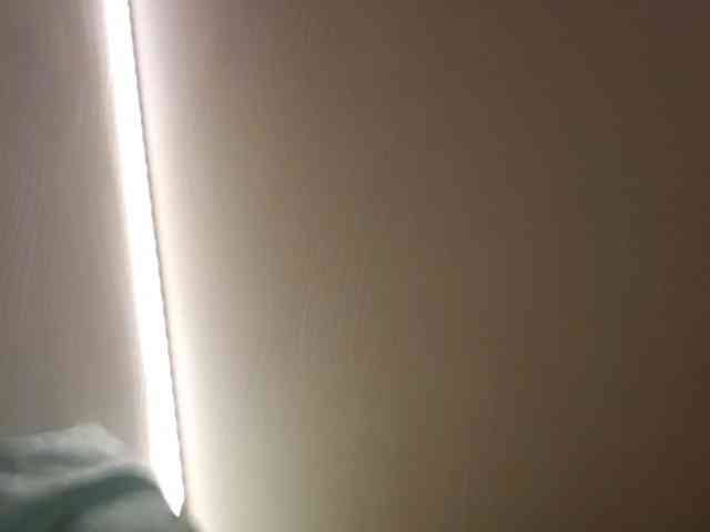 Pusech