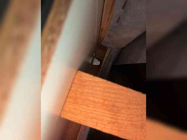 AlinnaAnnila webcam