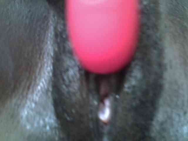 cuddlecanvas webcam