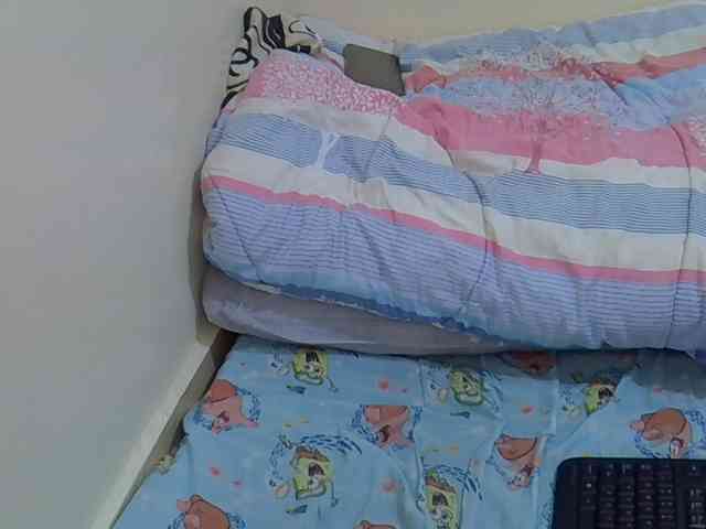 cuddlecanvas webcam