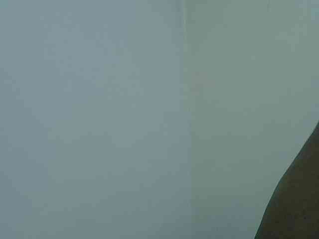 cuddlecanvas Live Webcam on BongaCams