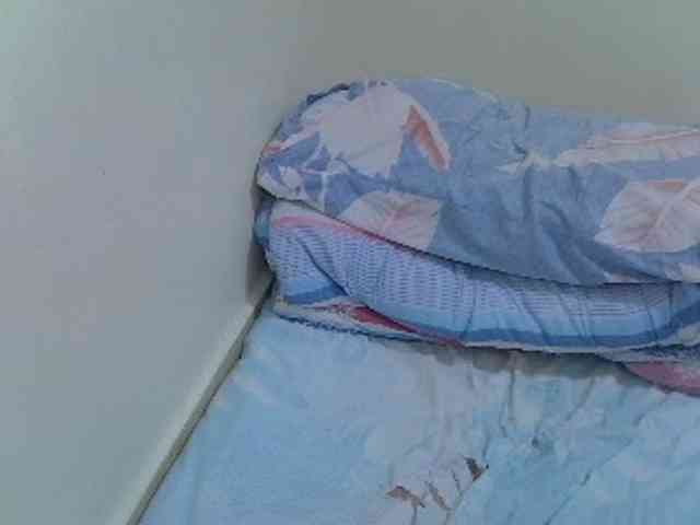 cuddlecanvas webcam