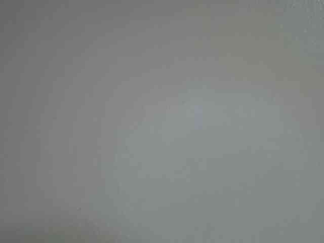 cuddlecanvas webcam