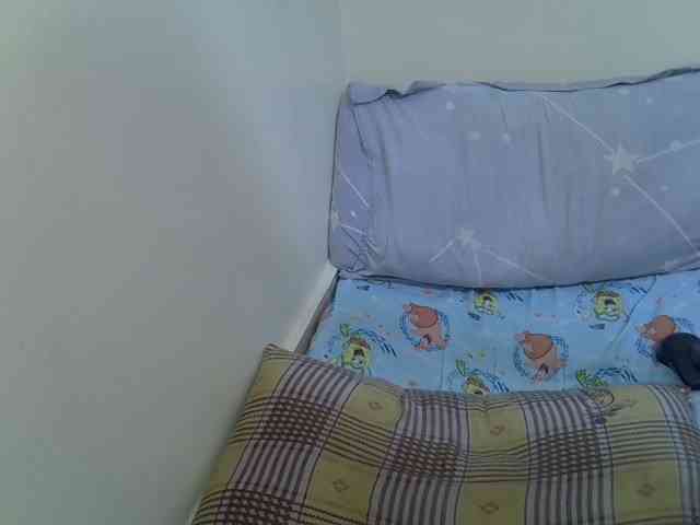 cuddlecanvas webcam