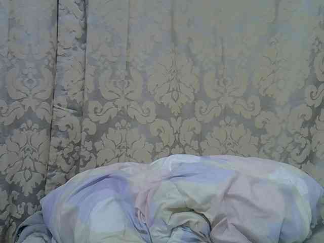 cuddlecanvas webcam