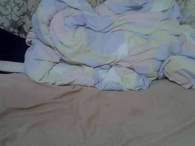 cuddlecanvas webcam