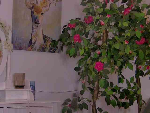 Sonya-Aysa webcam