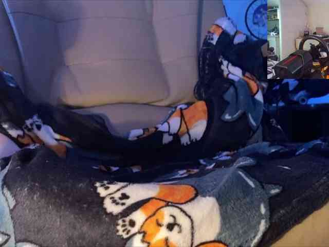 Alexfurboy1 Sex Cam Show