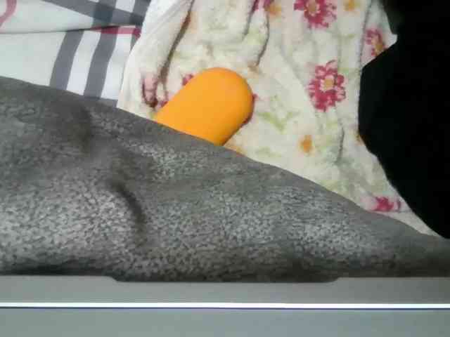 vashakisa webcam