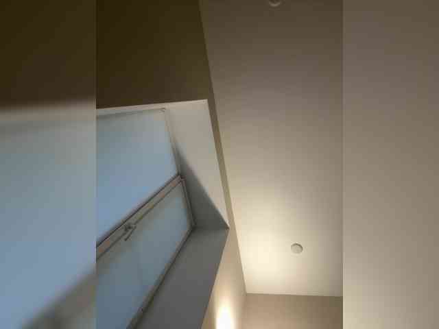 vashakisa webcam