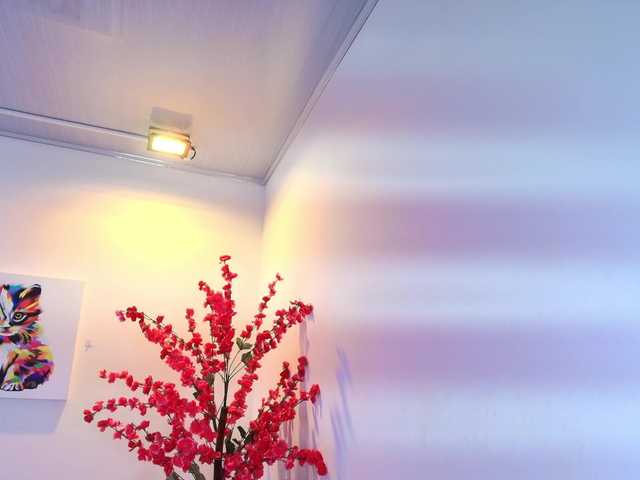 Sophie-clay live cam on BongaCams
