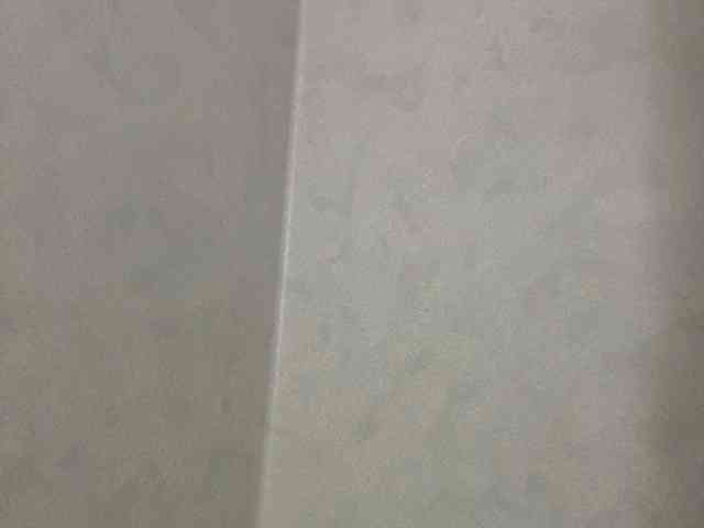 ReneeAnderson webcam