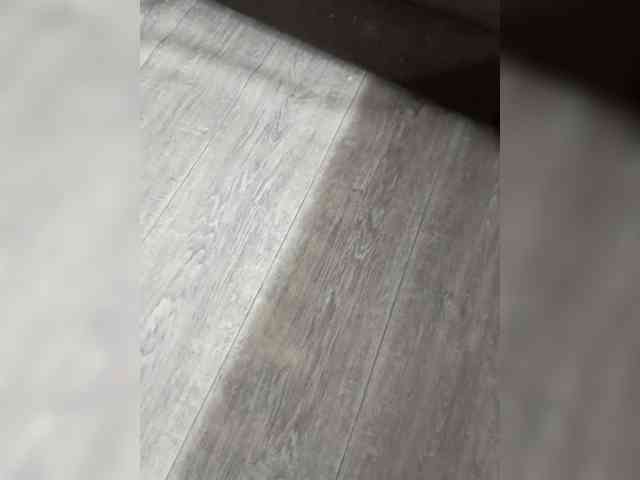 Bezdnarot webcam