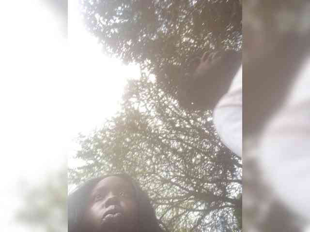 badassebony