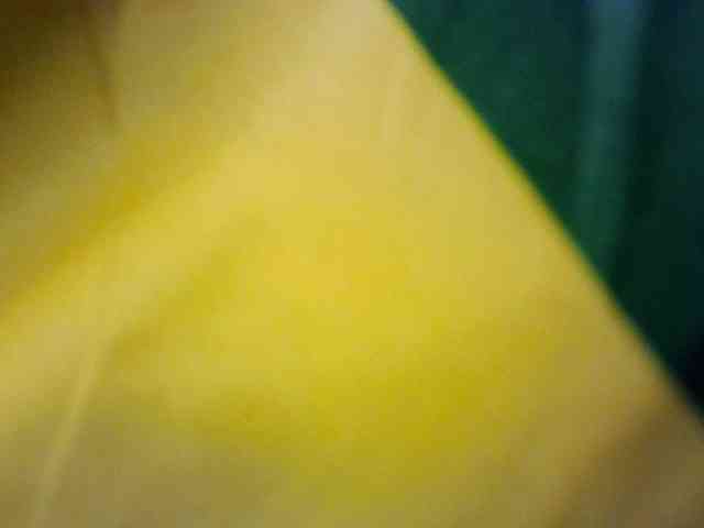 blackebony100 webcam