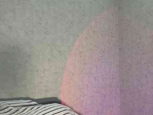MILEDIUM webcam
