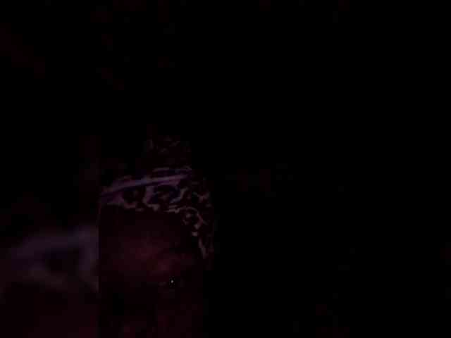 Ririeh webcam