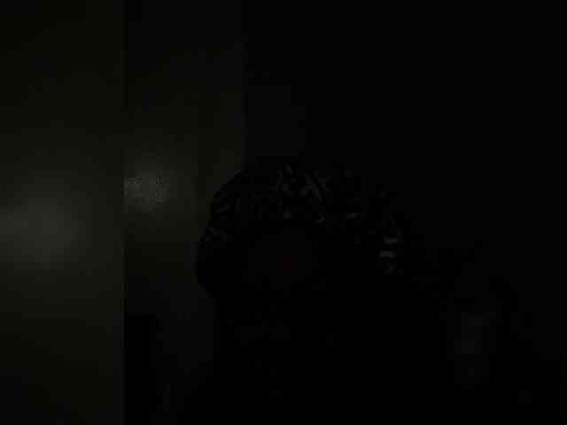 SiaBb webcam