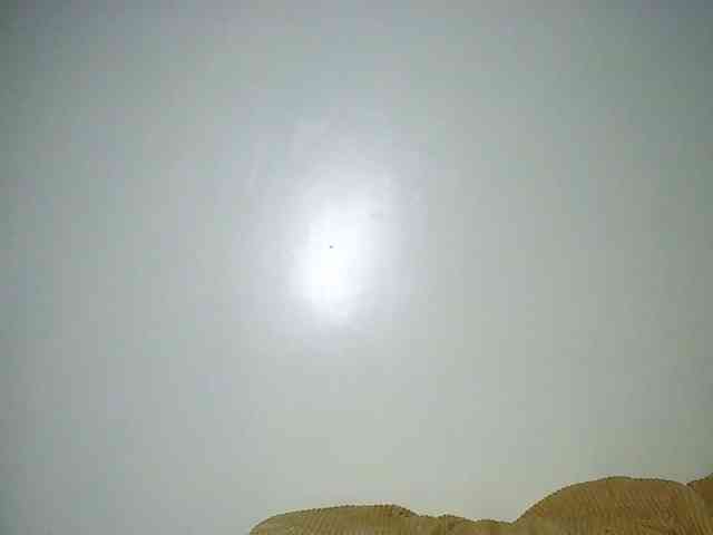 Sweet-juicy webcam