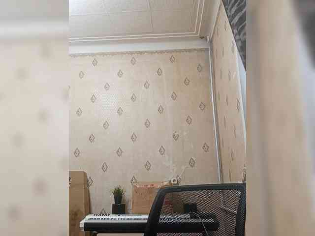 Rodjer1234-