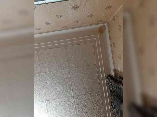 Rodjer1234-
