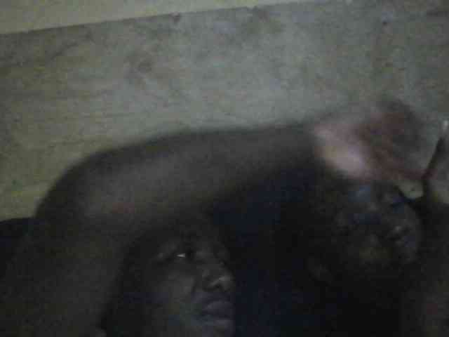 thechocos webcam