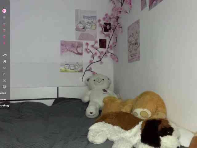 SleepyKris webcam