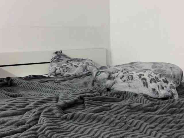 SleepyKris webcam