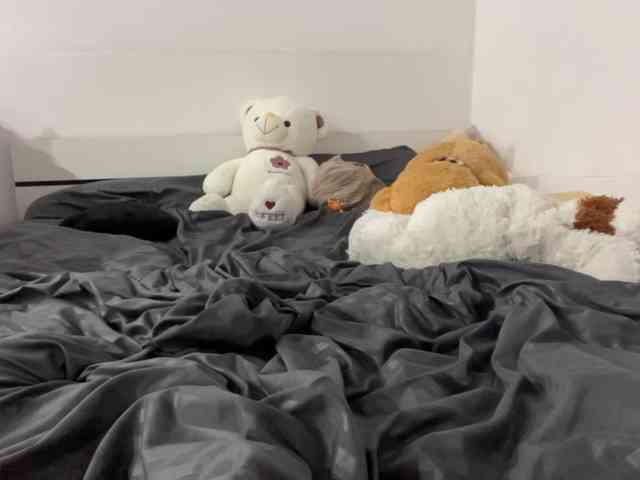 SleepyKris webcam