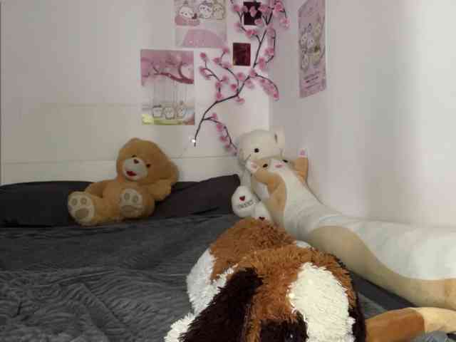 SleepyKris webcam