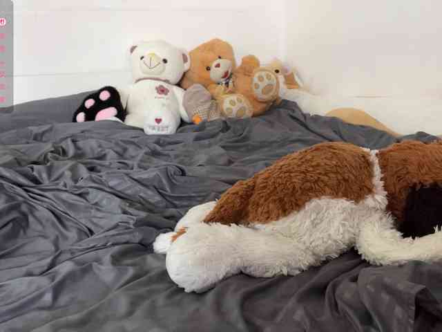 SleepyKris webcam