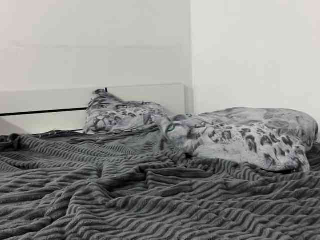 SleepyKris webcam