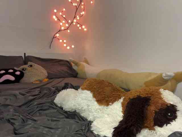 SleepyKris webcam