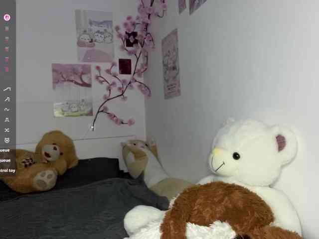 SleepyKris webcam
