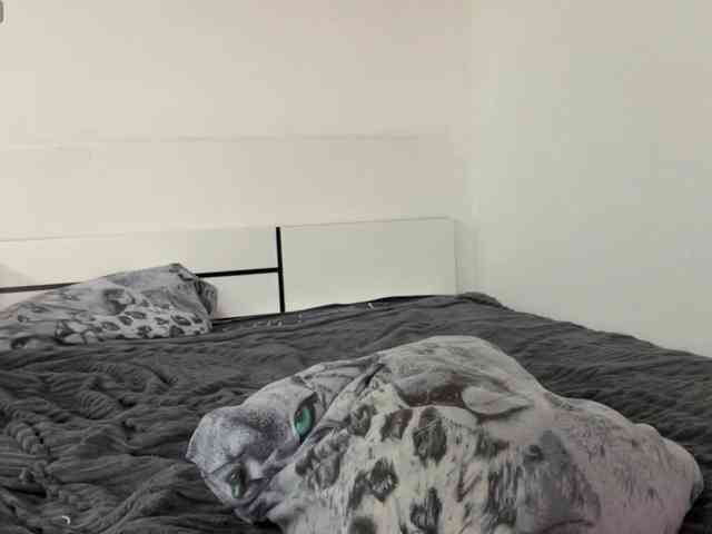 SleepyKris webcam