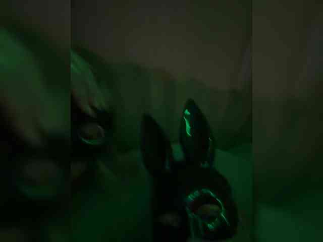 Milka2104 webcam