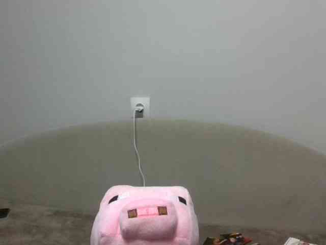 SnowHab webcam
