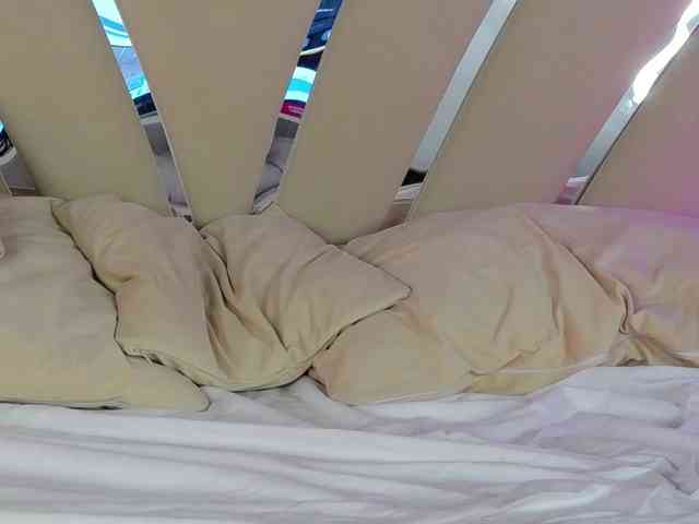 Denissya webcam
