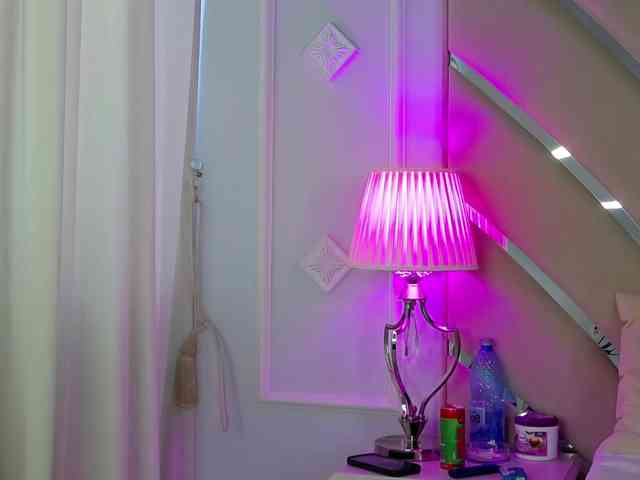Denissya webcam