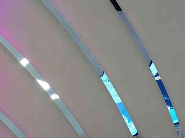 Denissya