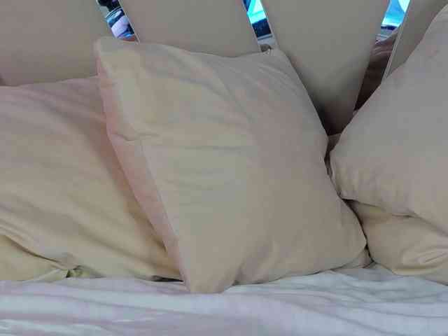 Denissya webcam