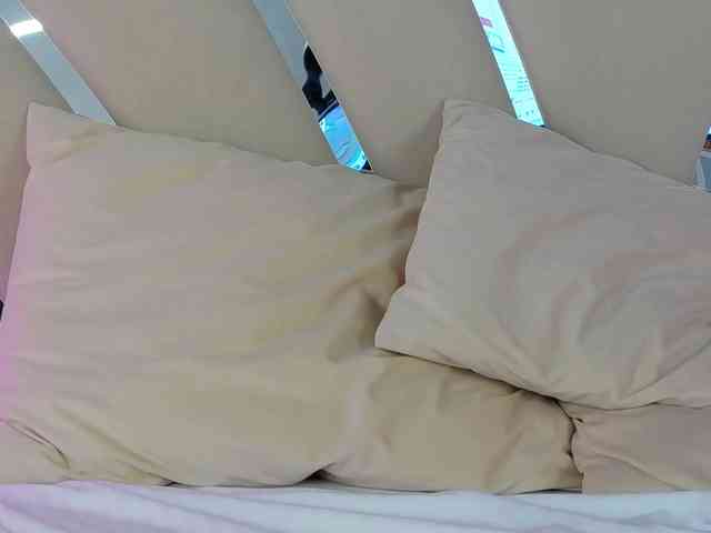 Denissya webcam