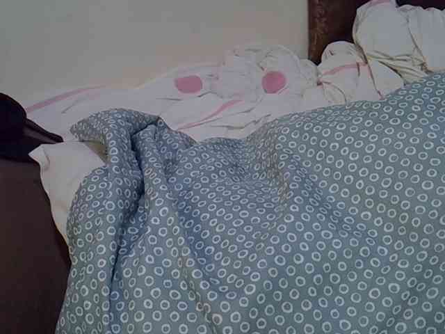 Casse-dellah webcam
