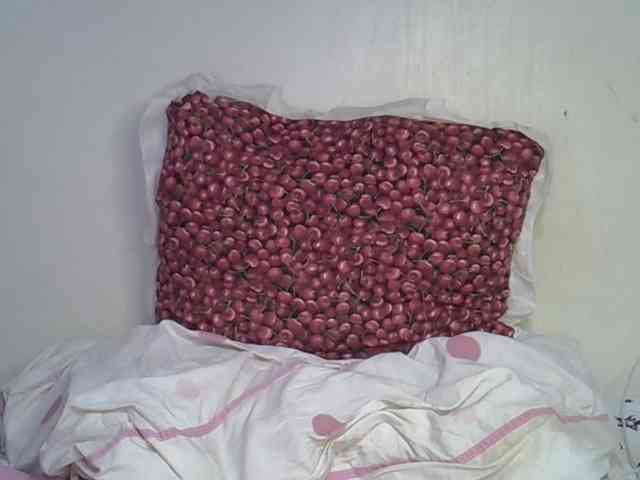 Casse-dellah webcam